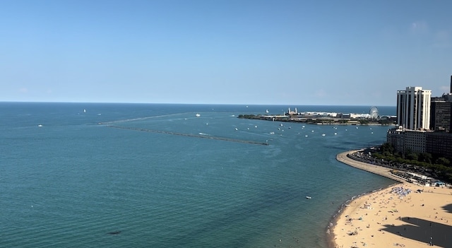 view of water feature with a beach view