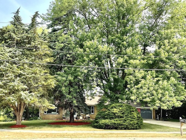 exterior space with a yard