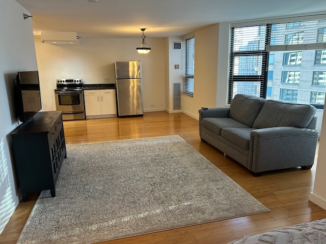 living room featuring light hardwood / wood-style floors