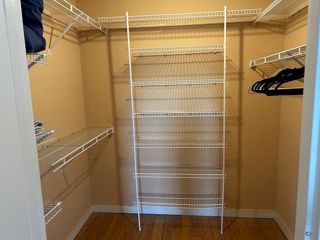 spacious closet featuring hardwood / wood-style flooring