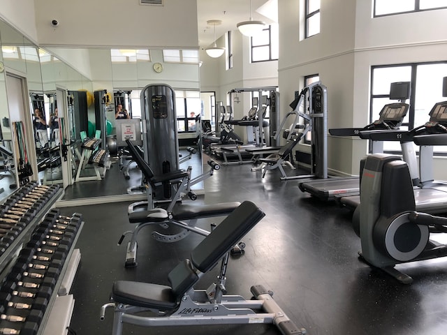 workout area featuring plenty of natural light and a high ceiling