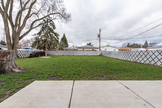 view of yard featuring a patio area