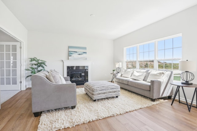 living room featuring light hardwood / wood-style flooring