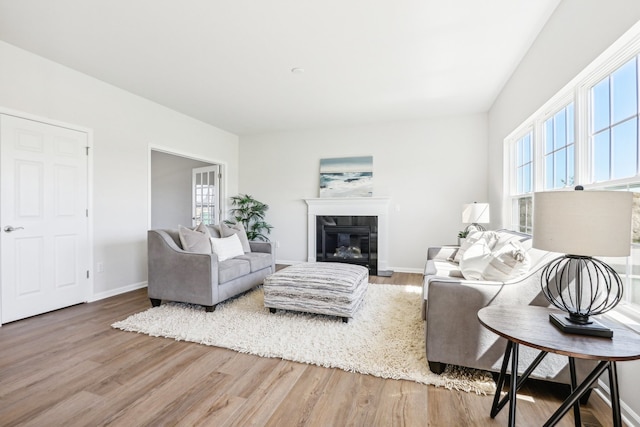 living room featuring hardwood / wood-style flooring