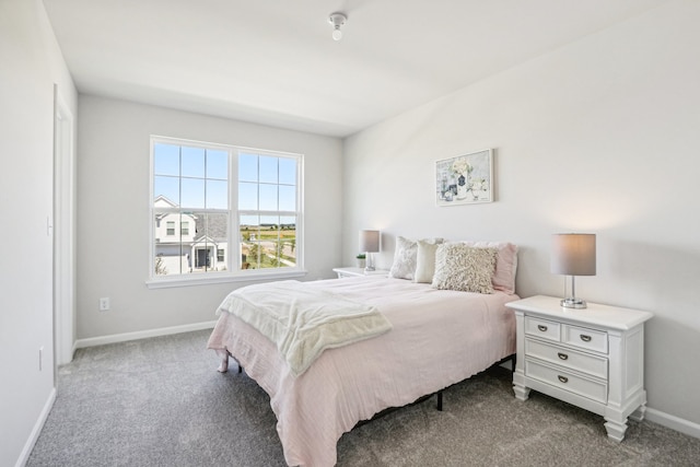 bedroom with carpet