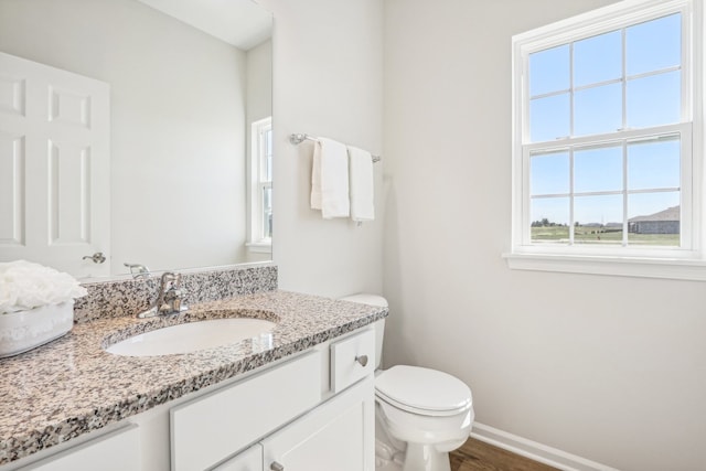 bathroom featuring wood-type flooring, toilet, and vanity