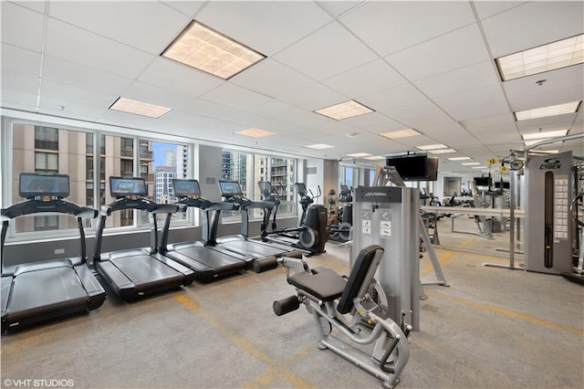 gym featuring light carpet and a paneled ceiling