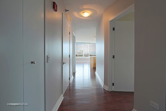 hall with dark hardwood / wood-style flooring