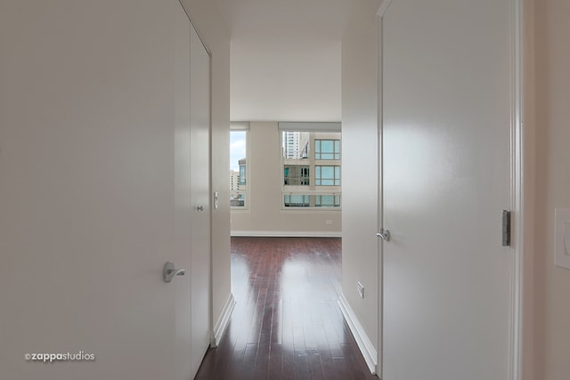 corridor with dark hardwood / wood-style floors