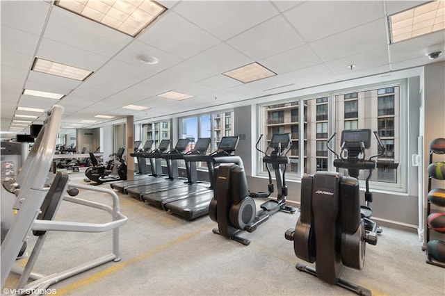 workout area featuring light carpet and a drop ceiling