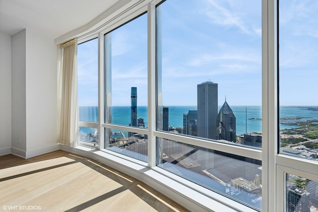 empty room featuring a healthy amount of sunlight, a water view, and wood-type flooring