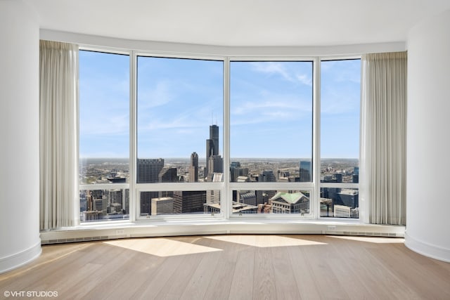 spare room with plenty of natural light and hardwood / wood-style floors