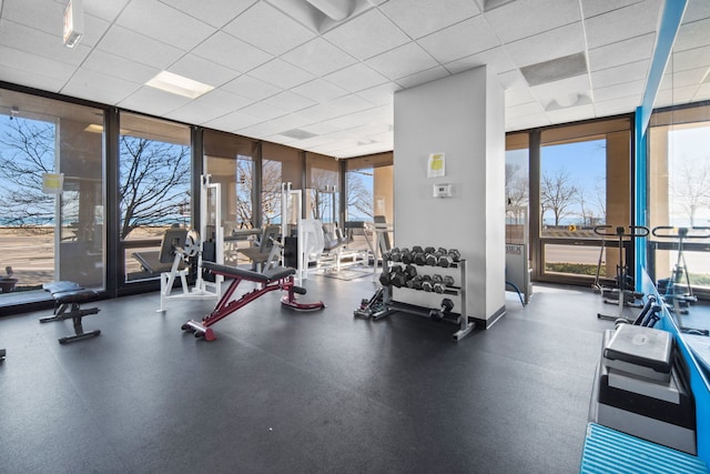 gym featuring a drop ceiling and a wall of windows