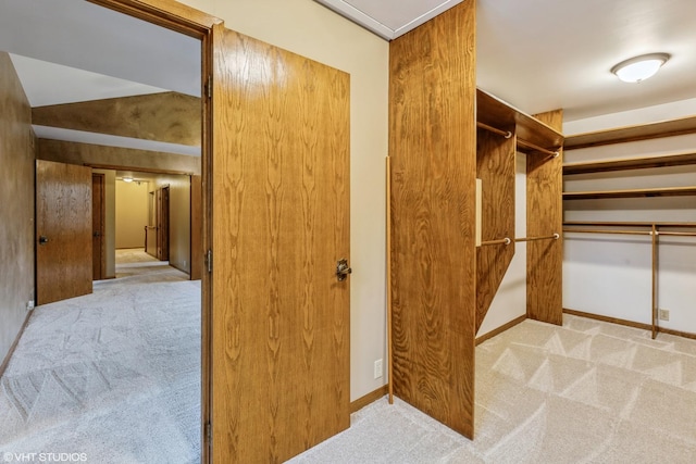 spacious closet with light colored carpet