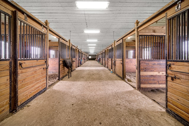 view of stable