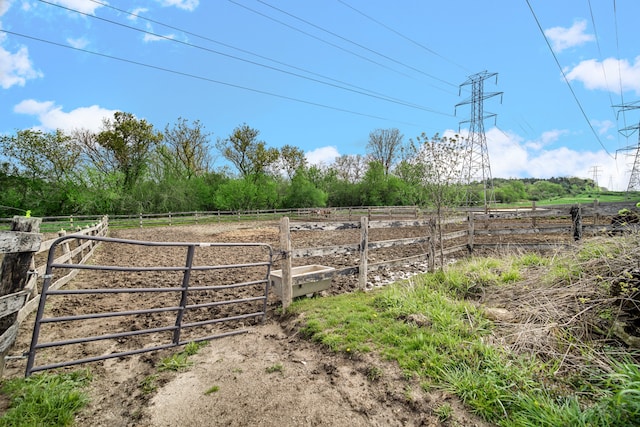 view of yard featuring a rural view