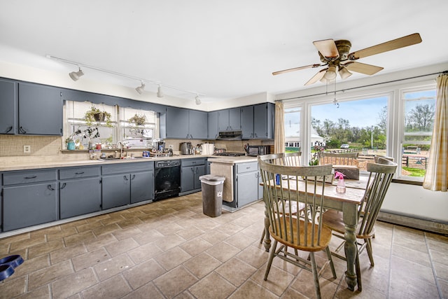 kitchen with a wealth of natural light, black dishwasher, and track lighting