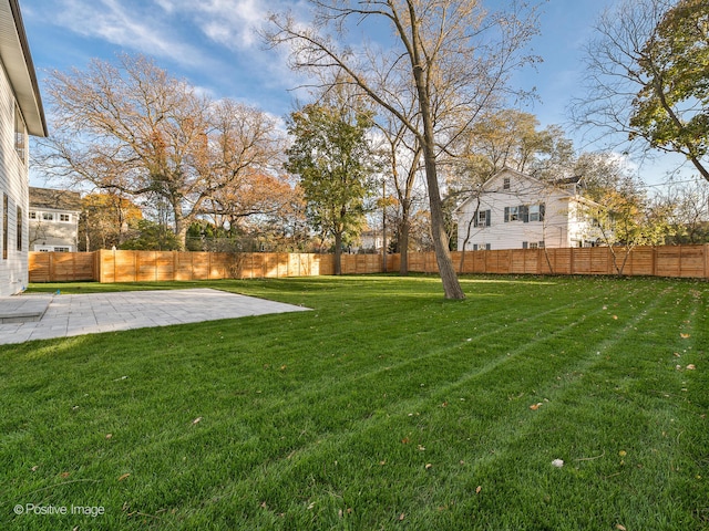 view of yard featuring a patio