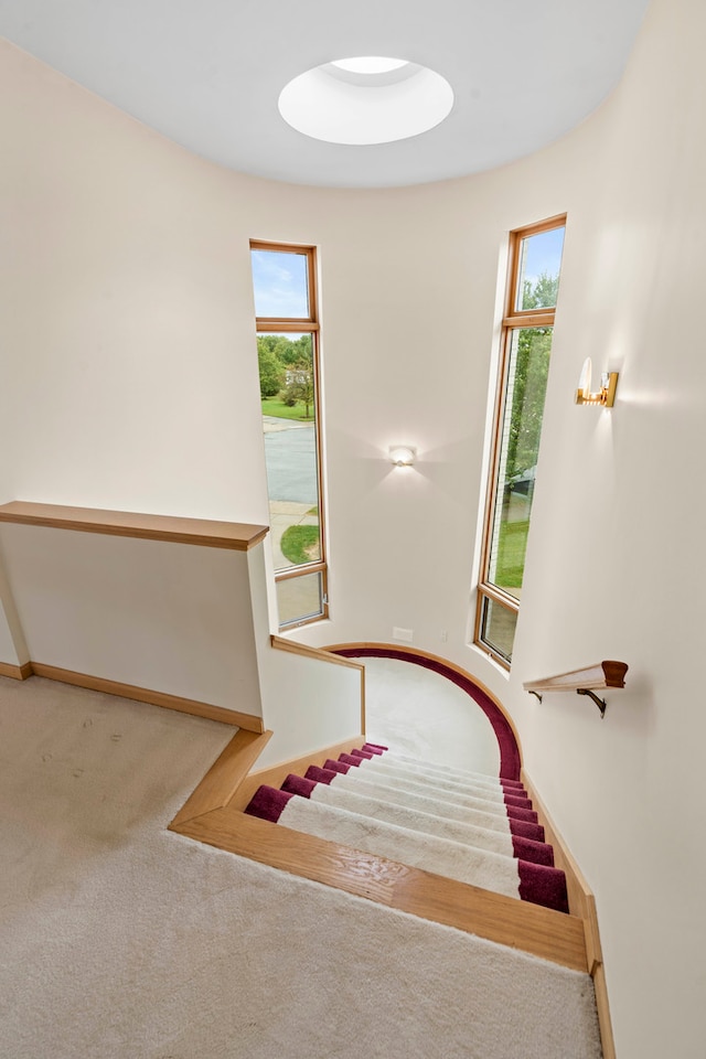 stairway with carpet floors