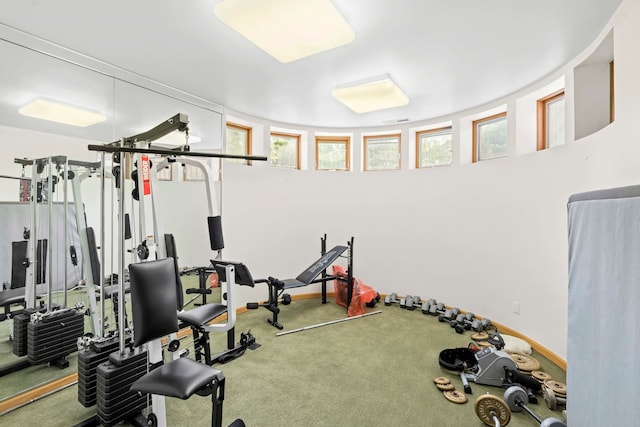 workout area featuring carpet floors