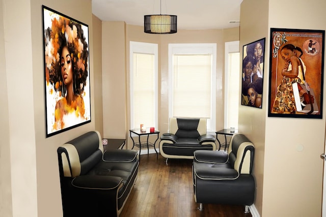 sitting room featuring dark hardwood / wood-style flooring