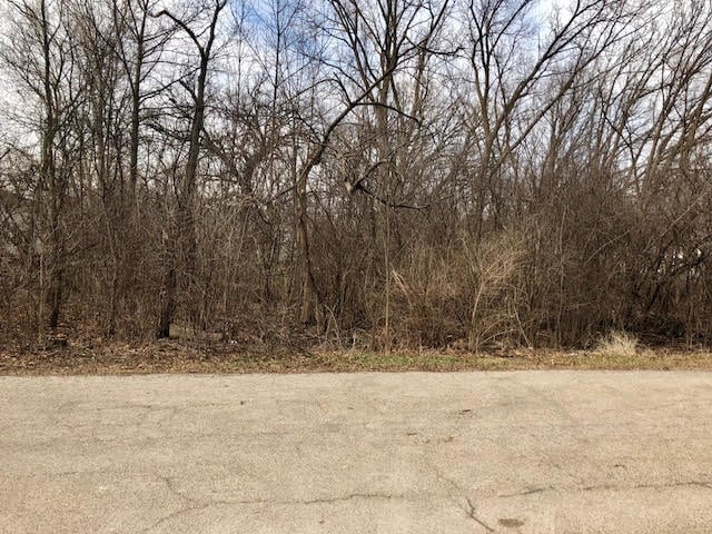 18860 W Rose Ave, Mundelein IL, 60060 land for sale