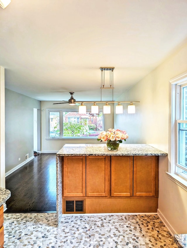 kitchen with a wealth of natural light, decorative light fixtures, ceiling fan, and hardwood / wood-style floors