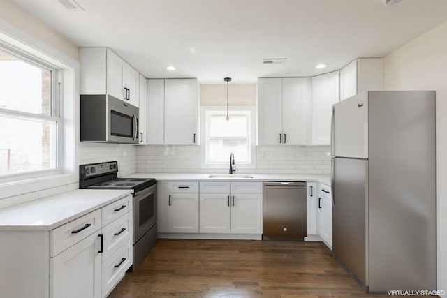 kitchen with a healthy amount of sunlight, dark hardwood / wood-style flooring, and stainless steel appliances