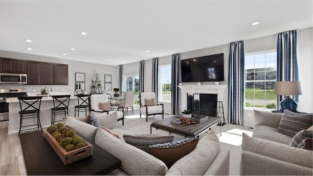 living room featuring light hardwood / wood-style flooring and sink