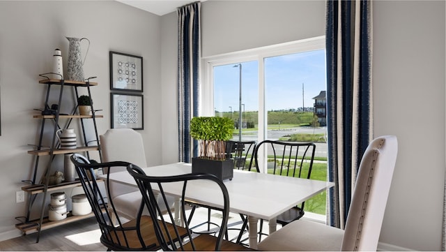 dining room with dark hardwood / wood-style floors and a wealth of natural light