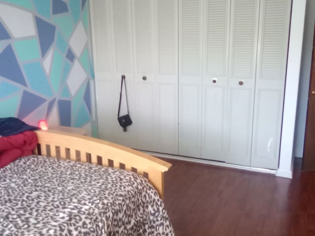 bedroom with a closet and dark wood-type flooring