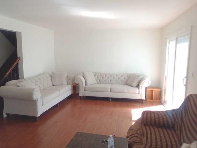 living room with wood-type flooring