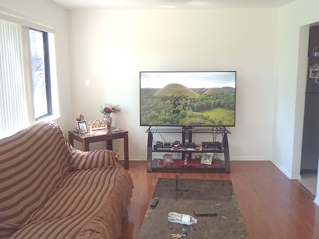 bedroom featuring hardwood / wood-style floors and multiple windows