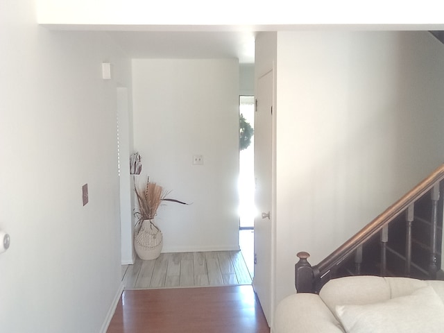 entrance foyer with wood-type flooring