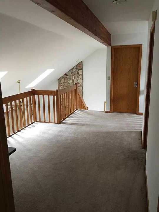 additional living space with carpet floors and vaulted ceiling with skylight