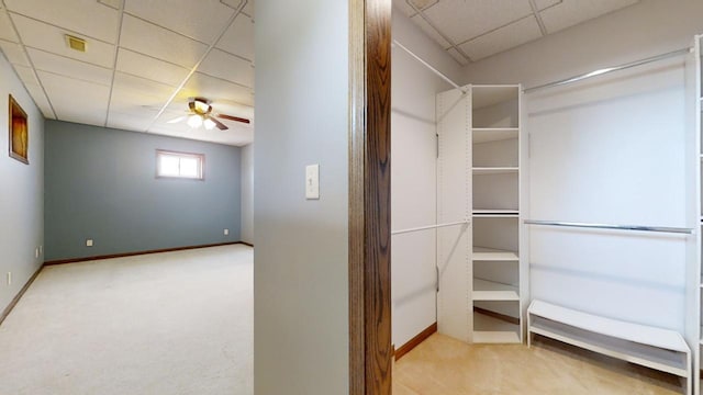 spacious closet with a paneled ceiling, ceiling fan, visible vents, and carpet flooring