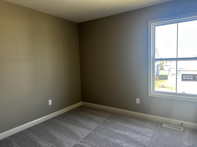 empty room with carpet flooring, a healthy amount of sunlight, and a textured ceiling