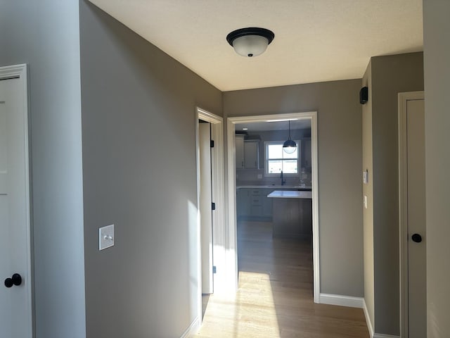 corridor with hardwood / wood-style flooring and sink