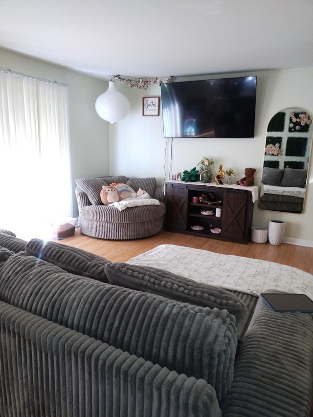 living room featuring hardwood / wood-style flooring