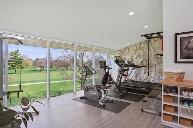 exercise room featuring a wealth of natural light, wood-type flooring, and expansive windows