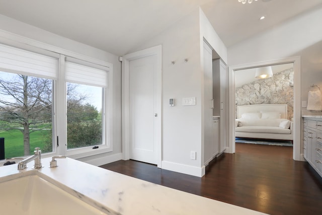 interior space featuring vaulted ceiling and dark hardwood / wood-style flooring