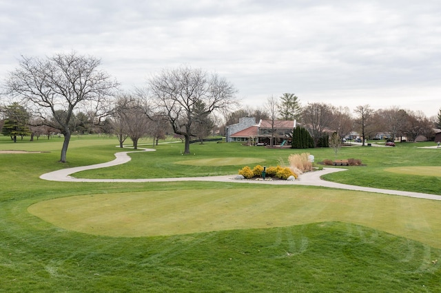 view of property's community featuring a yard