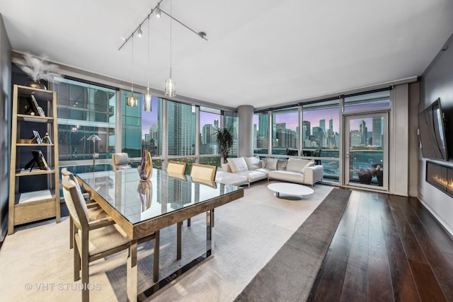 sunroom / solarium with rail lighting