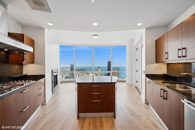 kitchen with wall chimney range hood, sink, light hardwood / wood-style flooring, decorative backsplash, and stainless steel appliances