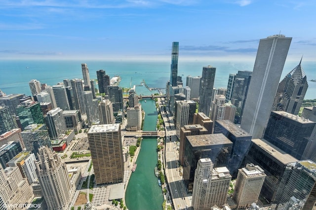 401 N Wabash Ave Unit 75A, Chicago, IL 60611 - city view featuring a large body of water