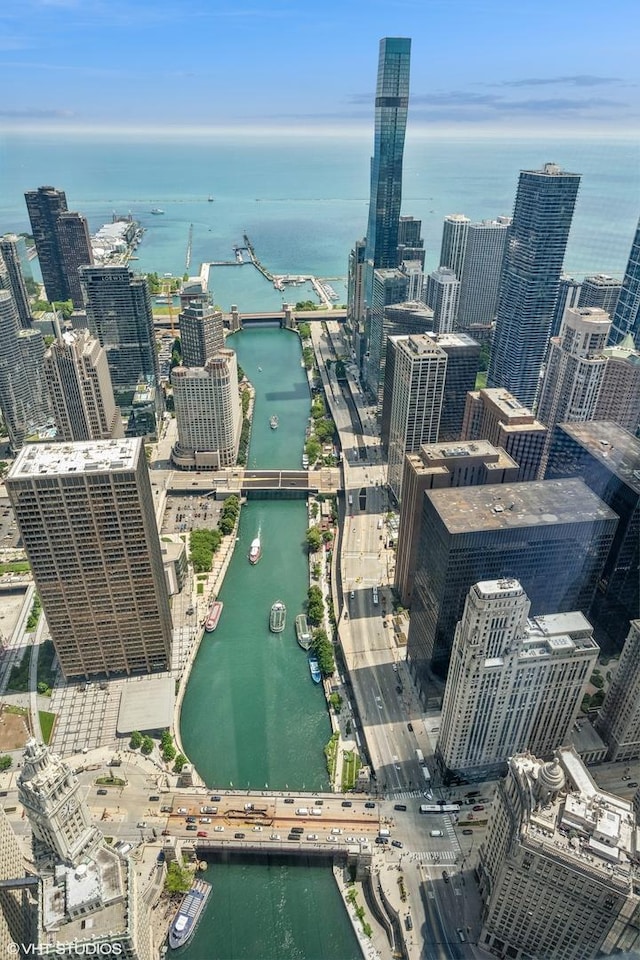 401 N Wabash Ave Unit 75A, Chicago, IL 60611 - view of urban area with a large body of water and a notable bridge