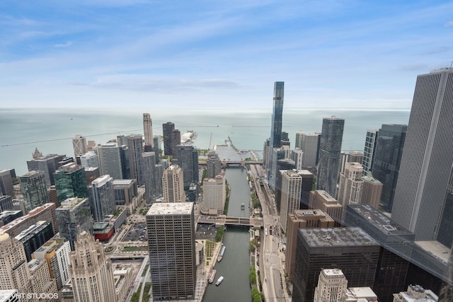 401 N Wabash Ave Unit 75A, Chicago, IL 60611 - city view featuring a nearby body of water