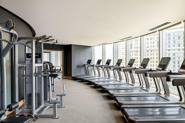 workout area featuring a wall of windows and a healthy amount of sunlight