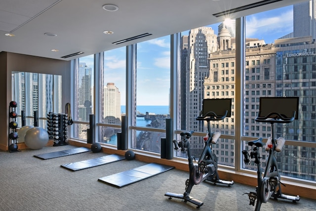 exercise room featuring carpet and a water view