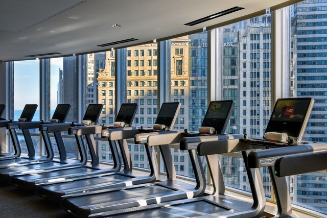 gym with expansive windows